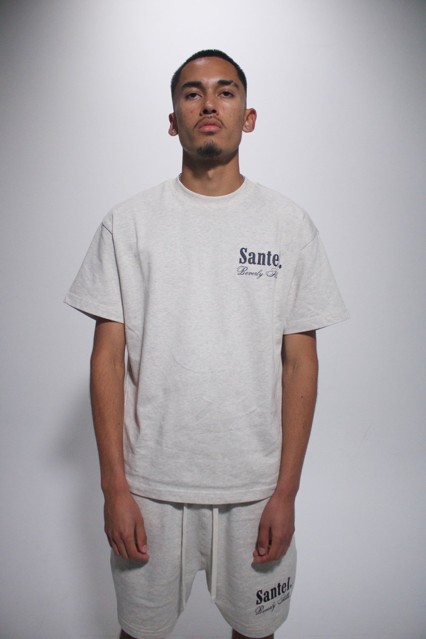 Ash Grey Beverly Hills Tee