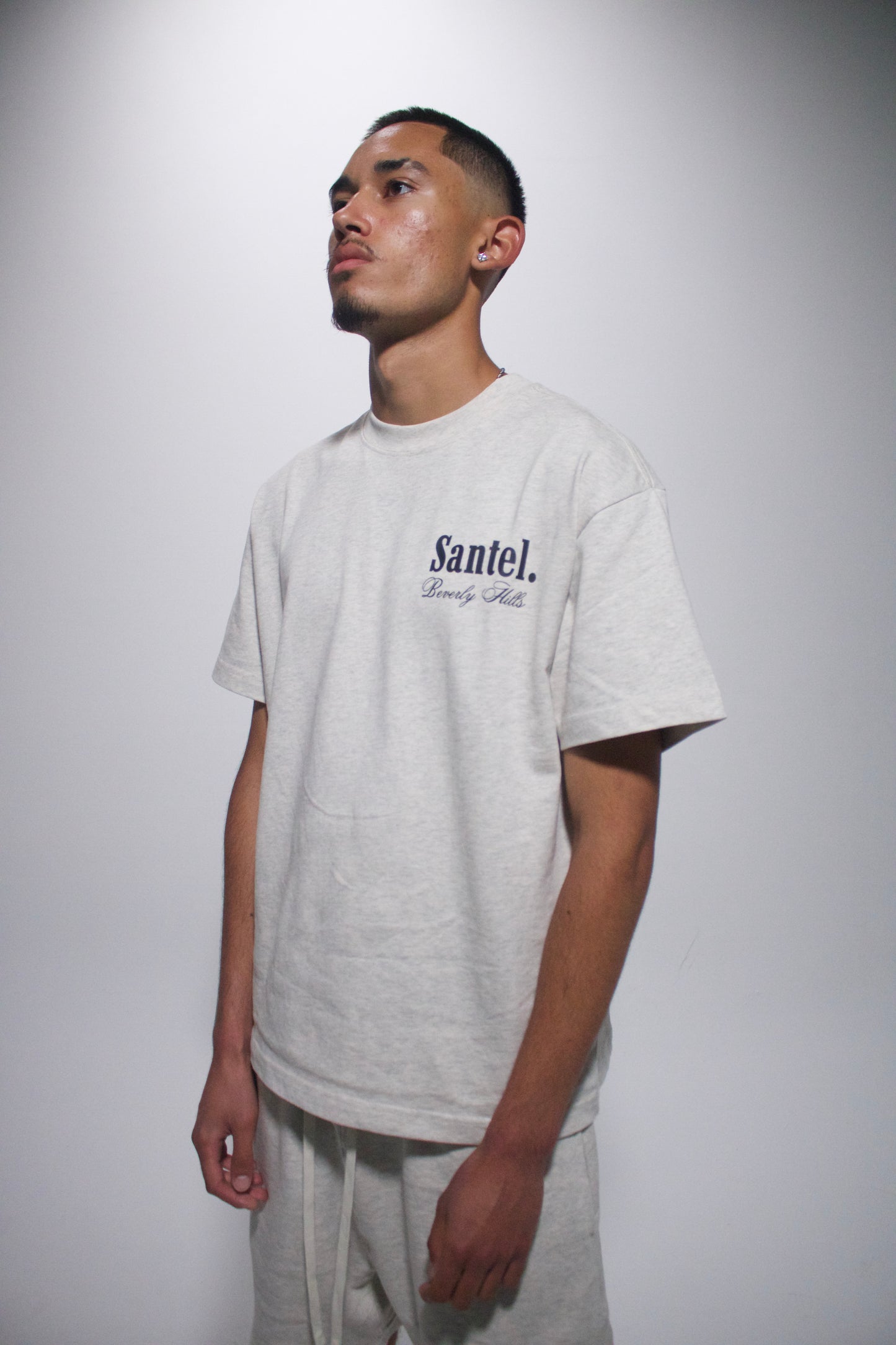 Ash Grey Beverly Hills Tee